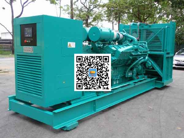 泰来租赁发电机-康明斯发电机性价比还是比较高的